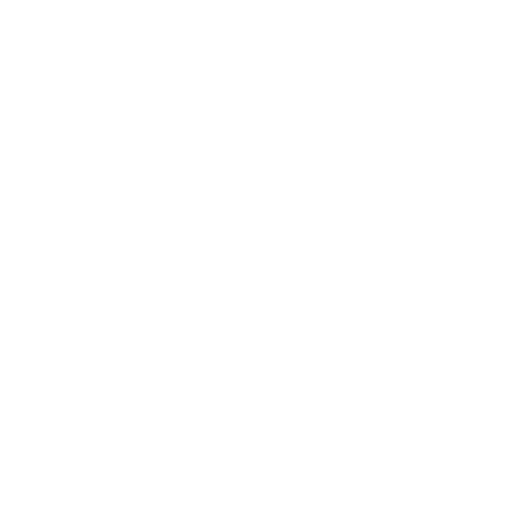 WordPress-logotype-wmark-white